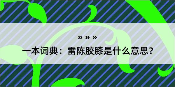 一本词典：雷陈胶膝是什么意思？