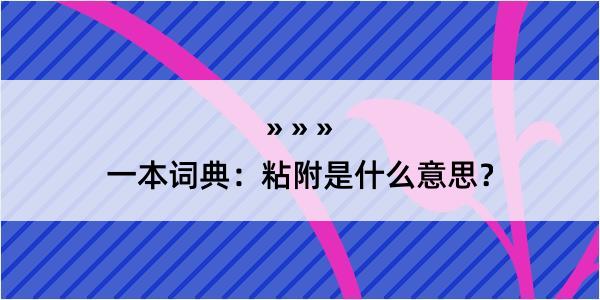 一本词典：粘附是什么意思？