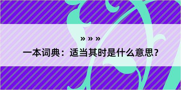 一本词典：适当其时是什么意思？