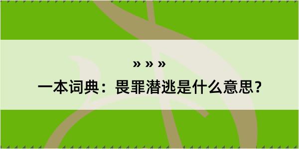 一本词典：畏罪潜逃是什么意思？