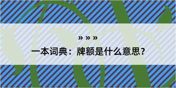 一本词典：牌额是什么意思？