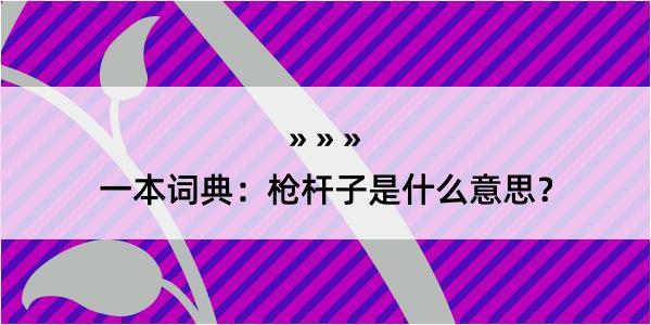 一本词典：枪杆子是什么意思？