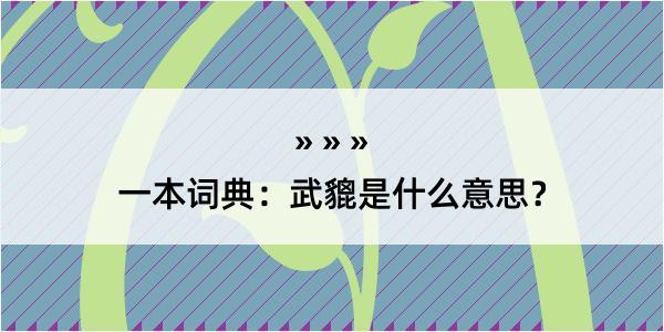 一本词典：武貔是什么意思？