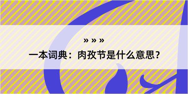 一本词典：肉孜节是什么意思？