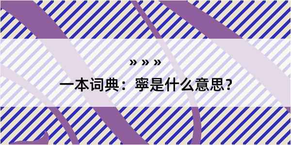 一本词典：寜是什么意思？