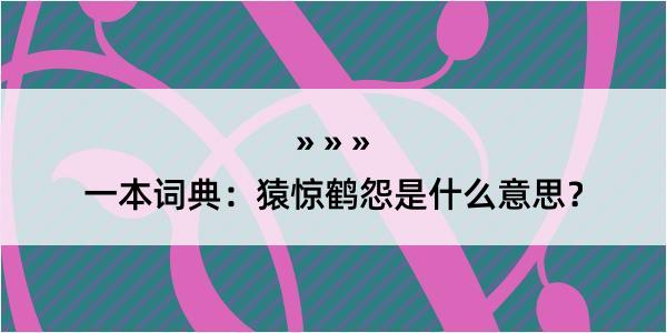 一本词典：猿惊鹤怨是什么意思？