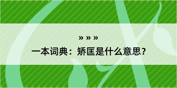 一本词典：矫匡是什么意思？