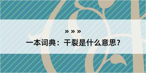 一本词典：干裂是什么意思？