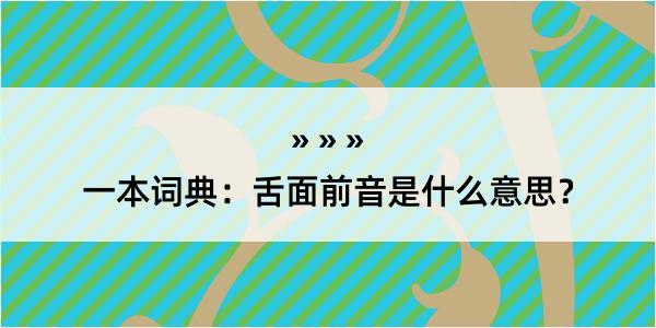 一本词典：舌面前音是什么意思？