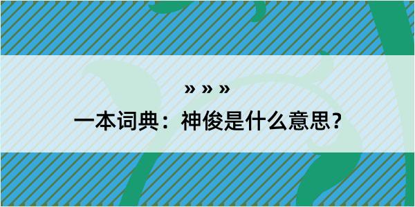 一本词典：神俊是什么意思？