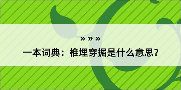 一本词典：椎埋穿掘是什么意思？