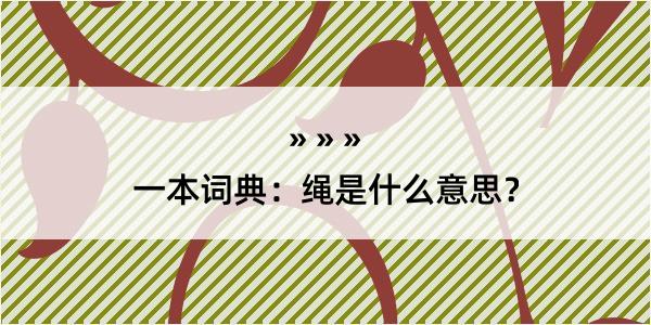 一本词典：绳是什么意思？