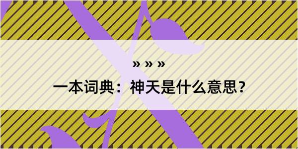 一本词典：神天是什么意思？