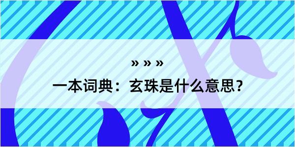 一本词典：玄珠是什么意思？