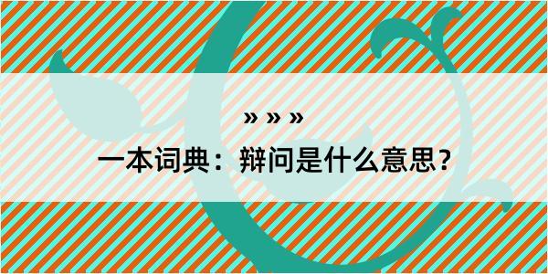 一本词典：辩问是什么意思？