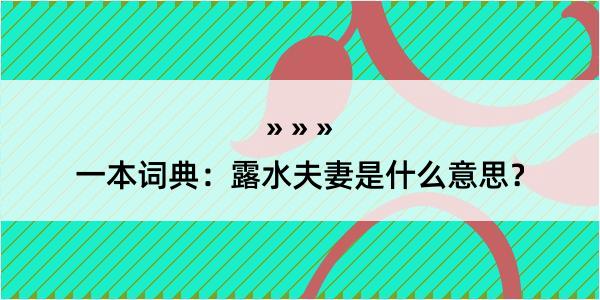 一本词典：露水夫妻是什么意思？