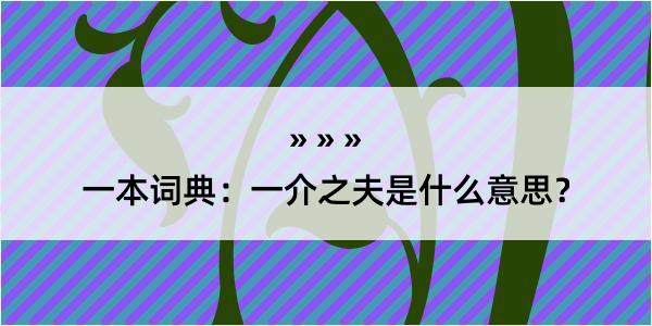 一本词典：一介之夫是什么意思？