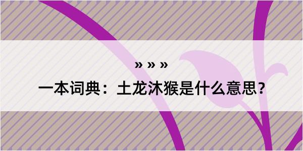 一本词典：土龙沐猴是什么意思？