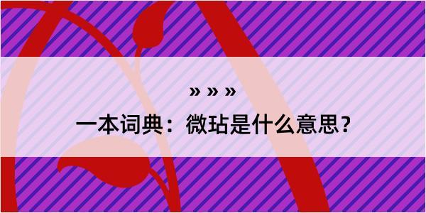 一本词典：微玷是什么意思？