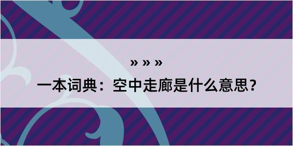 一本词典：空中走廊是什么意思？