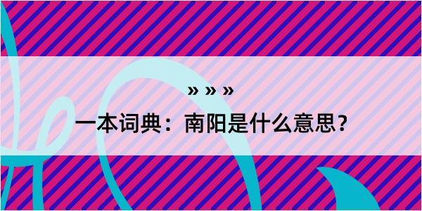 一本词典：南阳是什么意思？