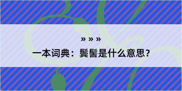 一本词典：鬓髻是什么意思？