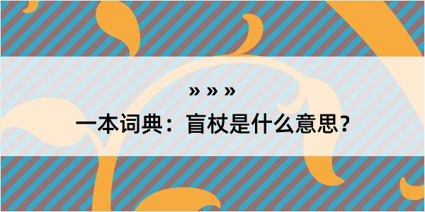 一本词典：盲杖是什么意思？