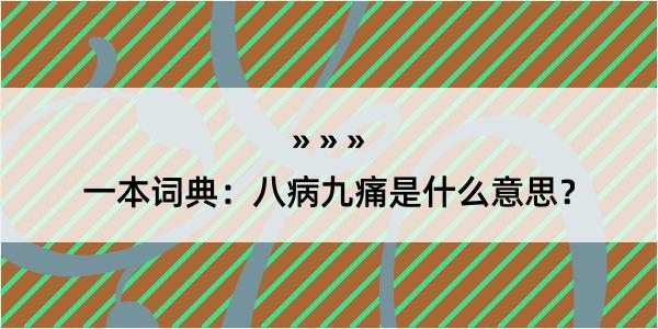 一本词典：八病九痛是什么意思？