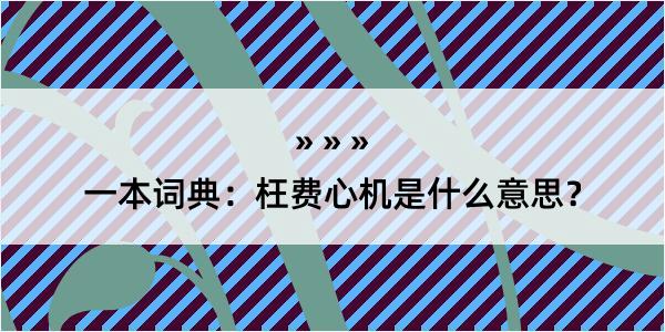 一本词典：枉费心机是什么意思？