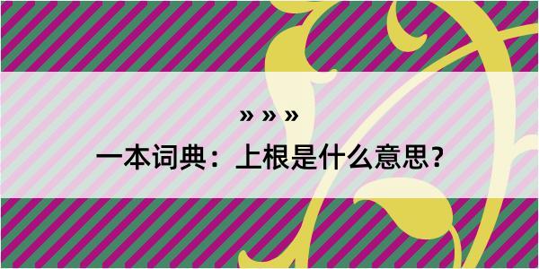 一本词典：上根是什么意思？