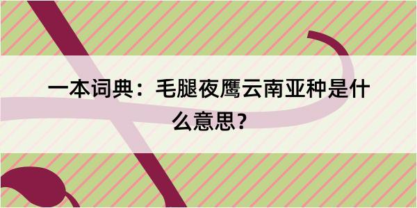 一本词典：毛腿夜鹰云南亚种是什么意思？