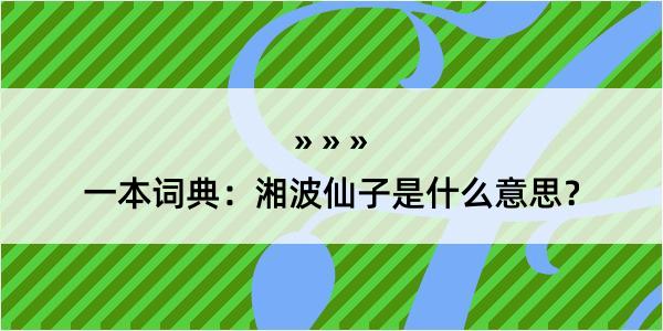 一本词典：湘波仙子是什么意思？