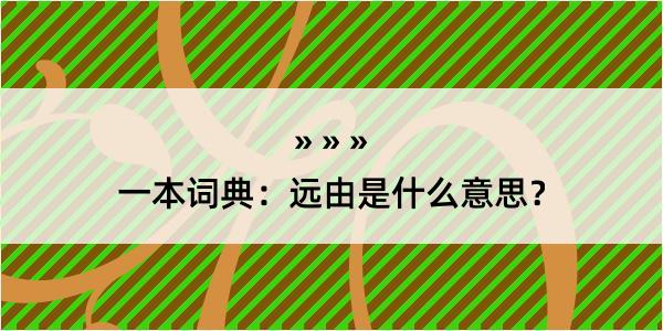 一本词典：远由是什么意思？