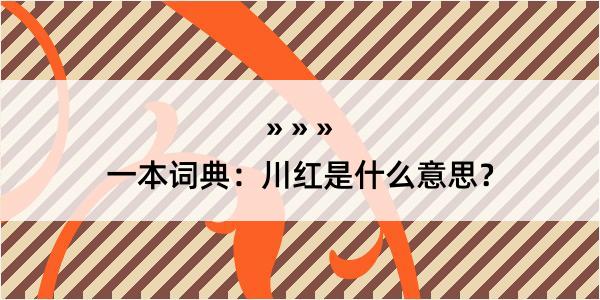 一本词典：川红是什么意思？