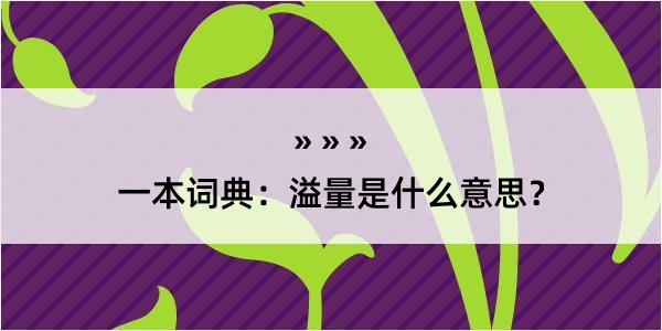 一本词典：溢量是什么意思？