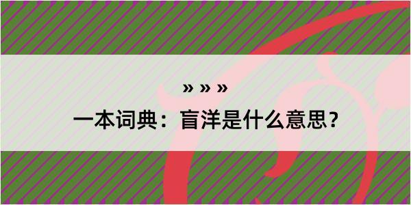 一本词典：盲洋是什么意思？