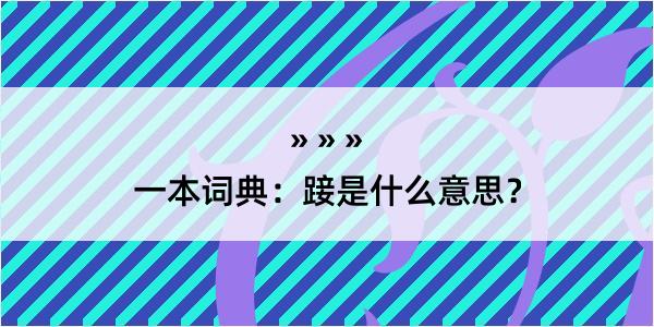 一本词典：踥是什么意思？