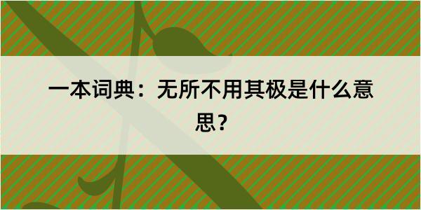 一本词典：无所不用其极是什么意思？