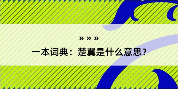 一本词典：楚翼是什么意思？