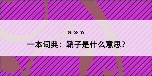 一本词典：鞘子是什么意思？