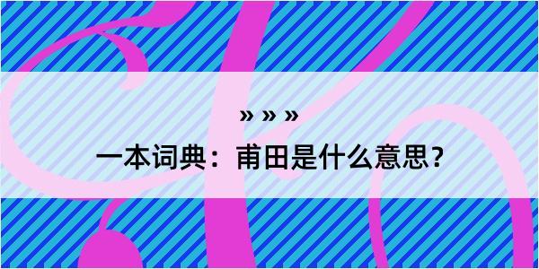 一本词典：甫田是什么意思？