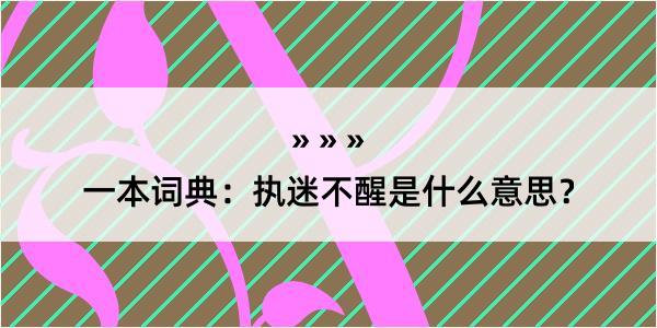 一本词典：执迷不醒是什么意思？