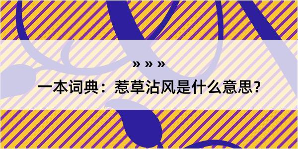 一本词典：惹草沾风是什么意思？