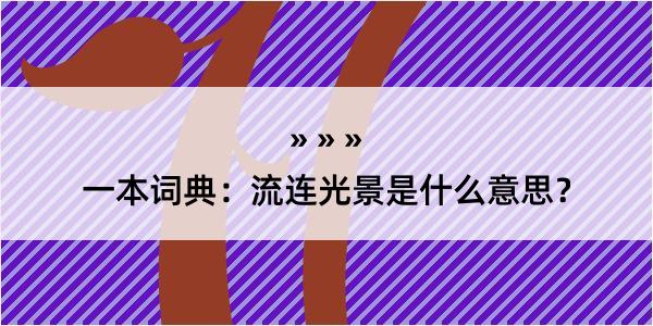 一本词典：流连光景是什么意思？