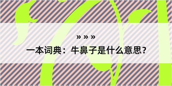 一本词典：牛鼻子是什么意思？