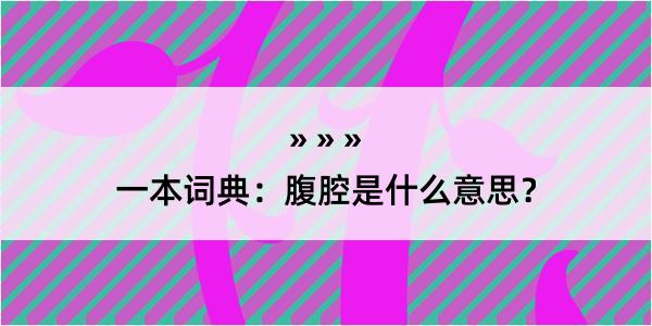 一本词典：腹腔是什么意思？