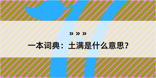 一本词典：土满是什么意思？