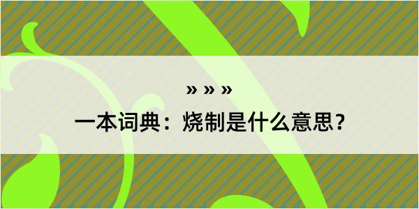 一本词典：烧制是什么意思？