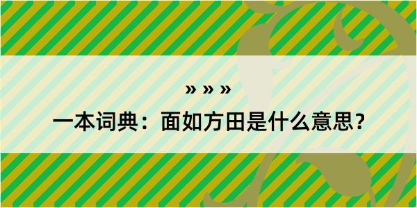 一本词典：面如方田是什么意思？