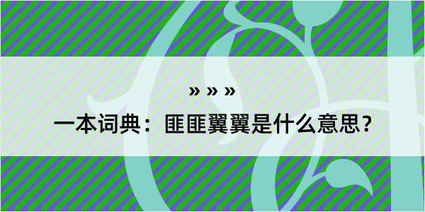 一本词典：匪匪翼翼是什么意思？